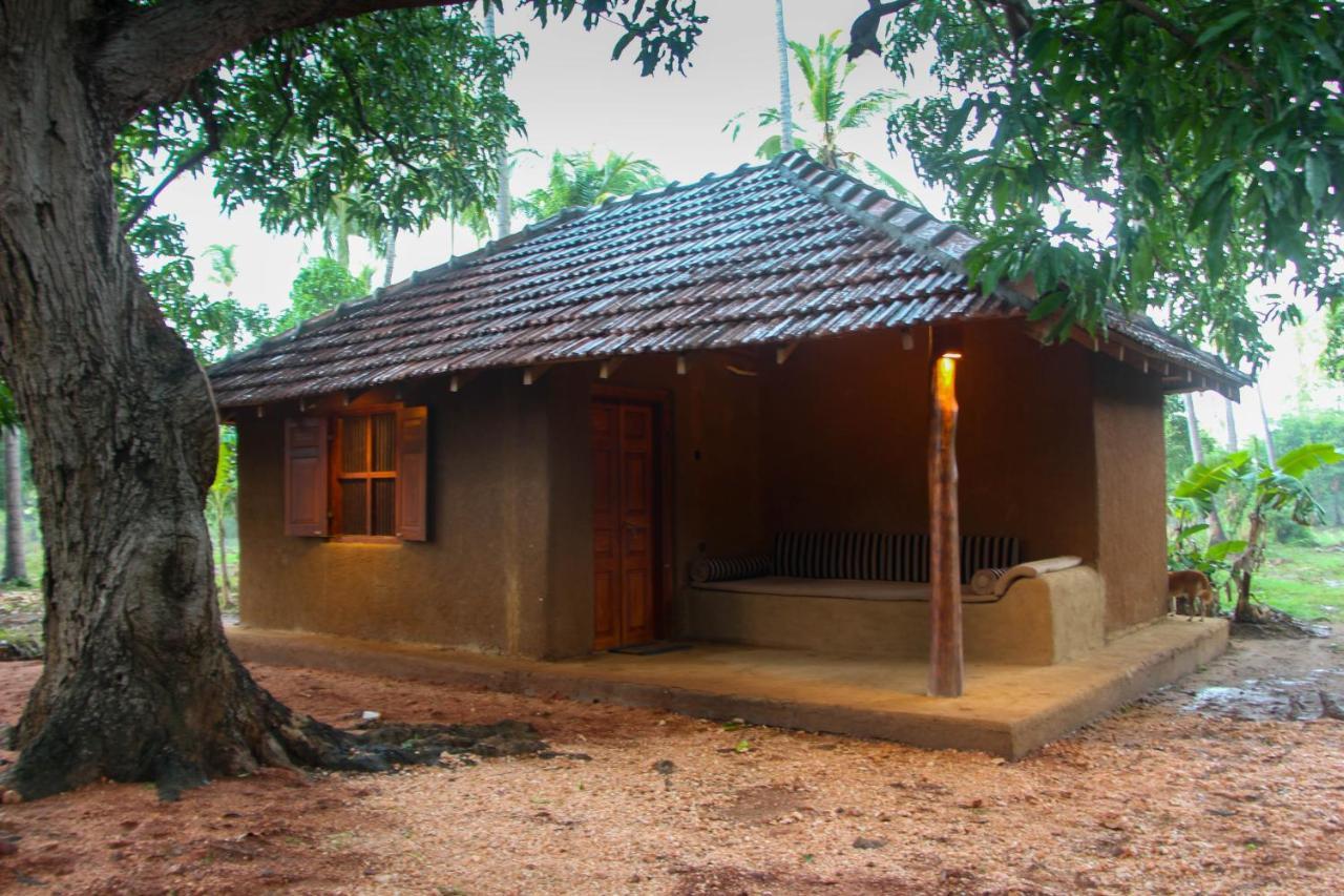 Eco Village Kalundewa Dambulla Exterior foto